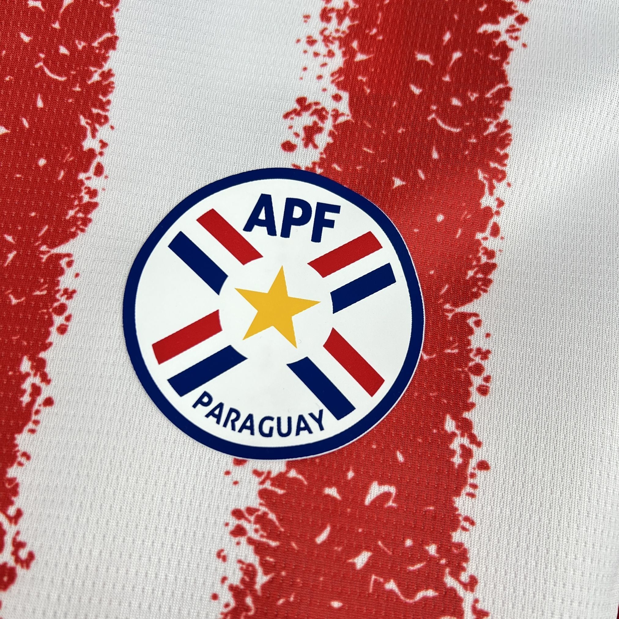 Paraguay Home 2026
