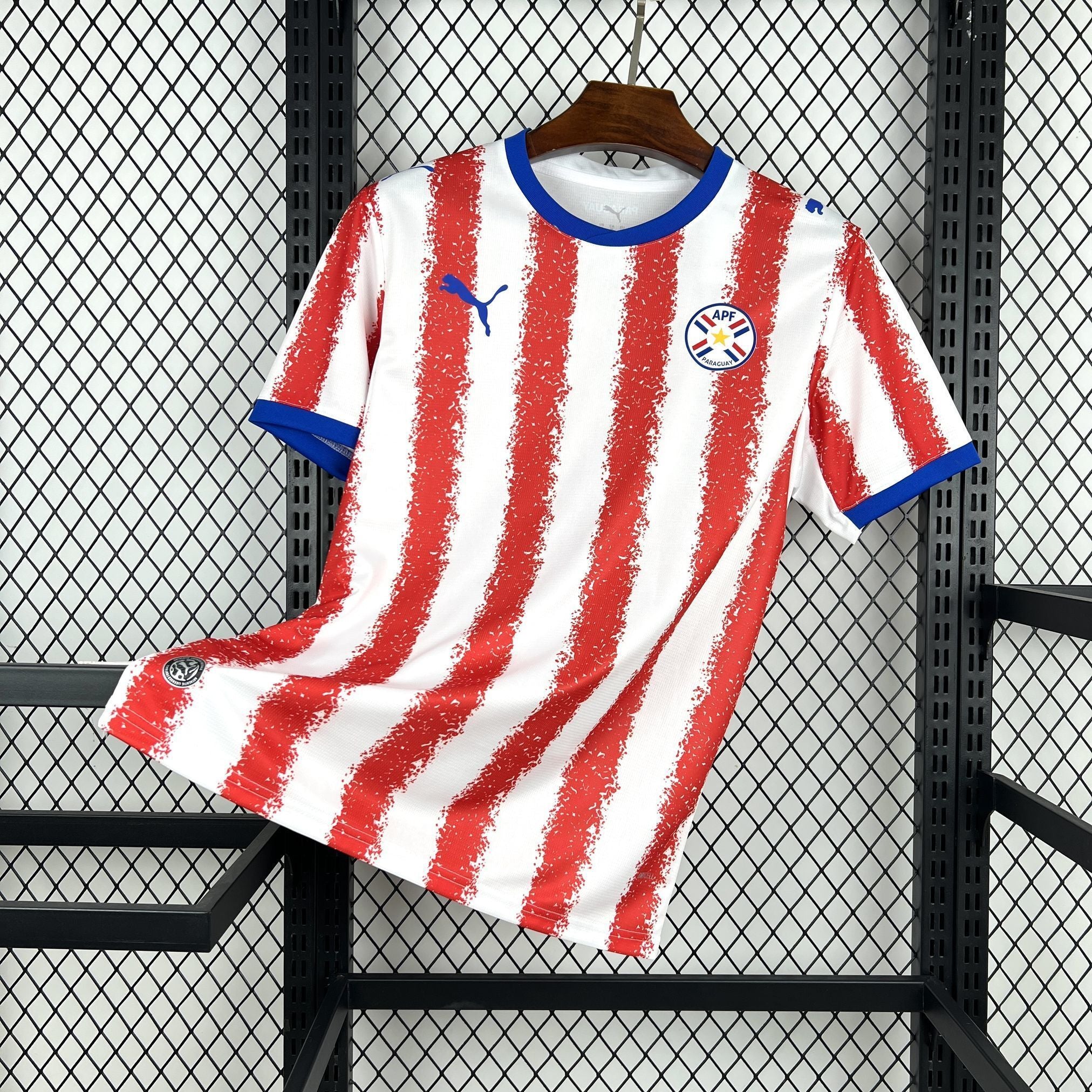 Paraguay Home 2026